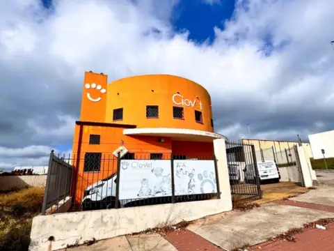 Edificio en Polígono Industrial Mantón de Manila