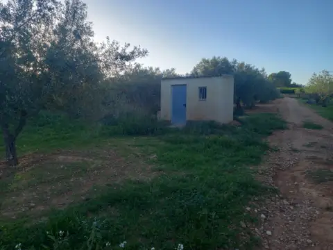 Terreno en Càlig