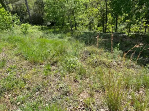 Terreno en calle Lllobregosa