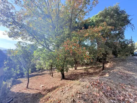 Terreno en Riells I Viabrea
