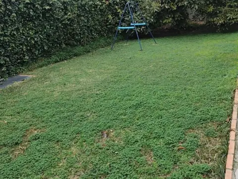 Casa en Colonia San Miguel-Los Pinos