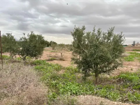 Terreno en calle La Ñorica (Totana), nº S/N