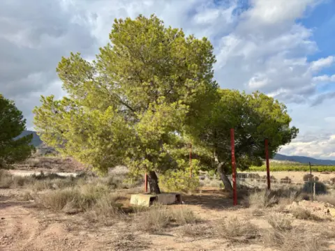 Terreno en calle Zona Camino Yesares, nº S/N