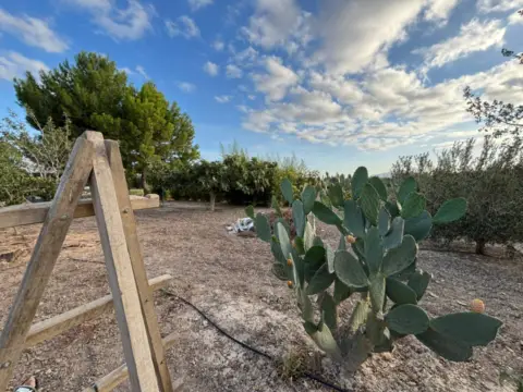 Chalet en calle Zona Piezas Viejas Totana, nº S/N
