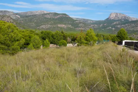 Terreno en calle Zona Sierra Espuña, nº S/N
