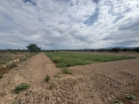 Terreno en calle Zona Pareton, nº S/N
