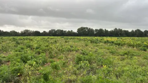 Finca rústica en Porreres