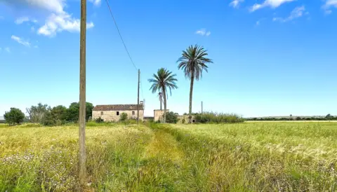 Chalet rústico en Camí de Son Xorc, 200