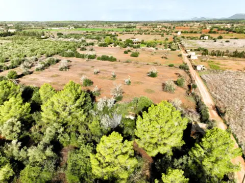Finca rústica en calle Es Revellar