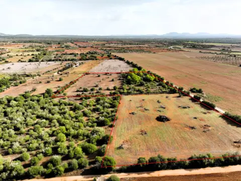 Finca rústica en calle Es Revellar