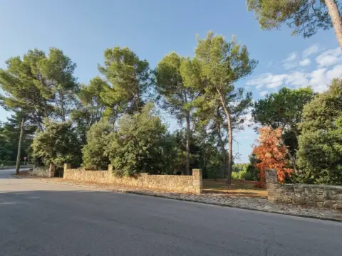 Terreno en Carrer de Montardo