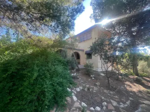 Chalet en Finca Terol