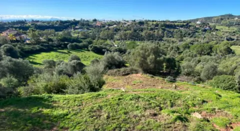 Terreno en calle del Alcornoque, 10