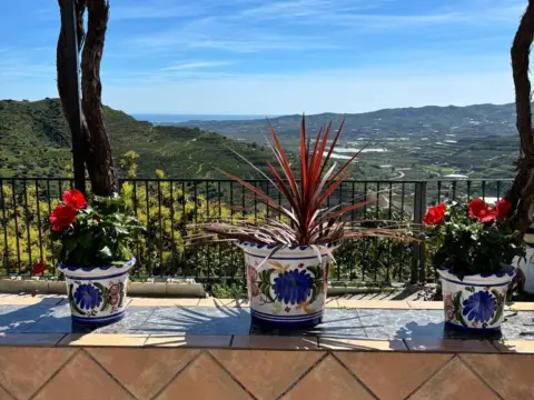 Casa pareada en Camino Real