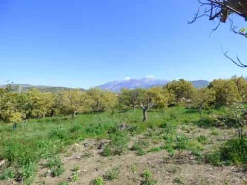 Finca rústica en Arroyo Cabrillas