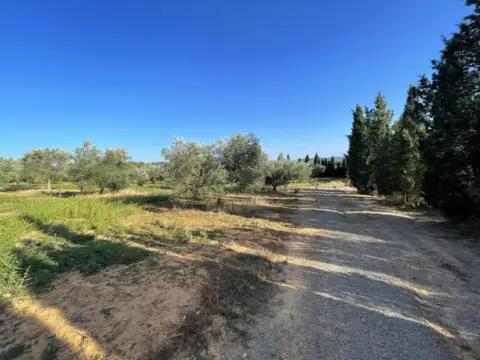 Finca rústica en Pasaje Afores, nº 54