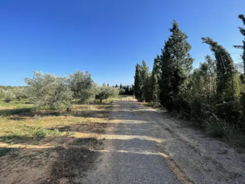 Finca rústica en Pasaje Afores, nº 54