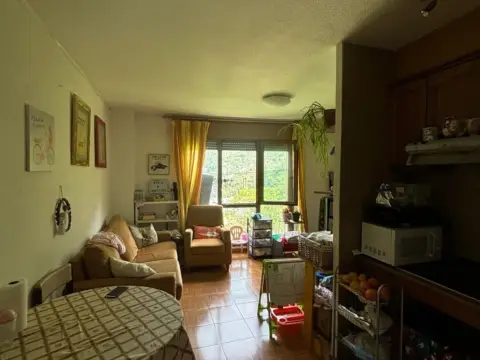 Piso en calle Dels Cortals