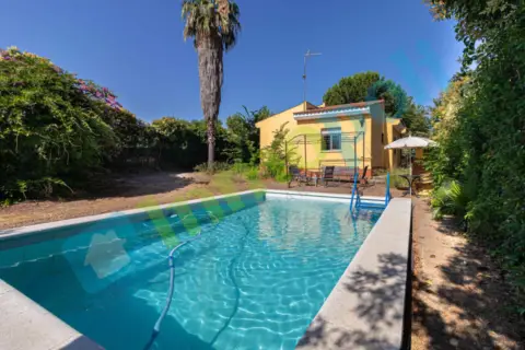 Chalet en Avenida de Damián Téllez Lafuente, 49