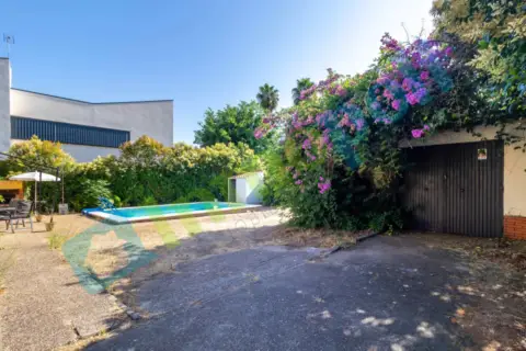 Chalet en Avenida de Damián Téllez Lafuente