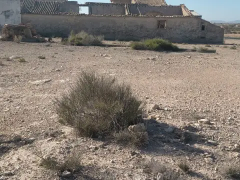 Terreno en calle Santos Angeles Custodios