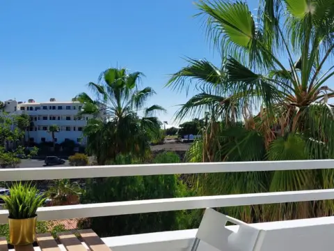 Estudio en Avenida de José Miguel Galván Bello