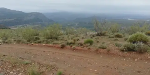 Finca rústica en calle Cortijo La Cara