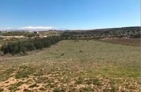 Finca rústica en calle Paraje Mojoneras