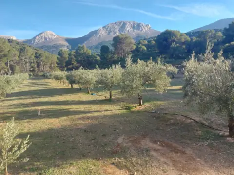 Finca rústica en Montes Orientales