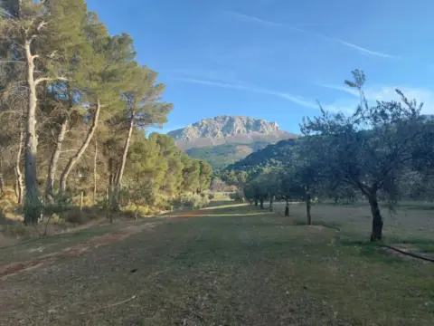 Finca rústica en Montes Orientales