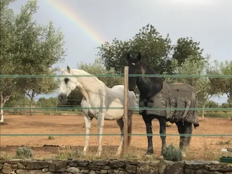 Finca rústica en San Jorge - Sant Jordi