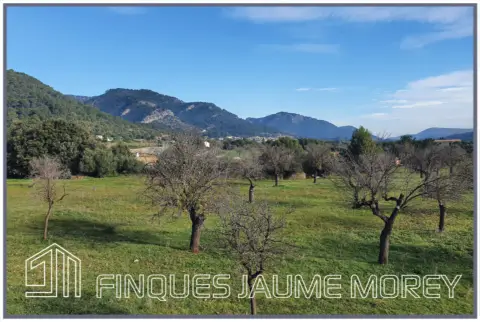 Chalet en Carrer de ses Escoles, 1