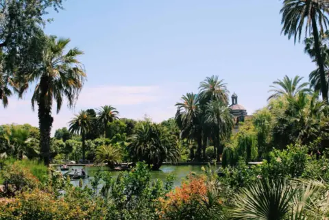 Dúplex en Carrer de Wellington