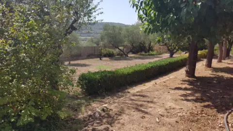 Chalet en Carrer del Bosc