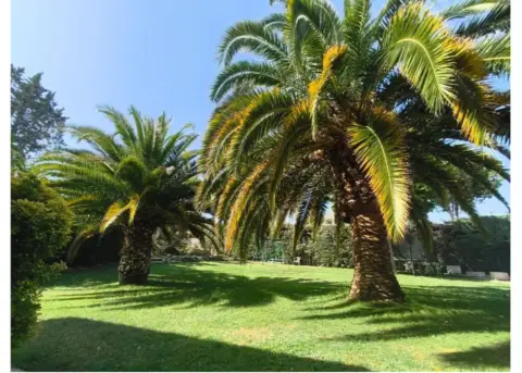 Piso en calle del Duero