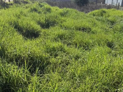 Terreno en Urbanizaciones Zona Norte