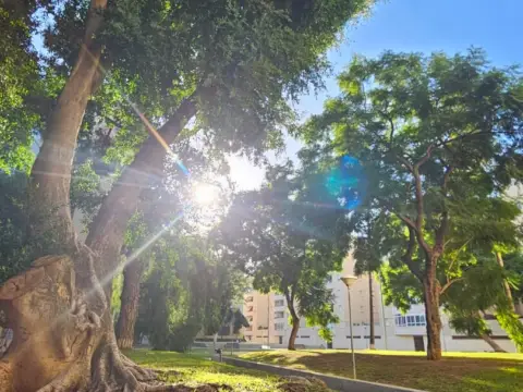 Piso en Victoria-El Juncal