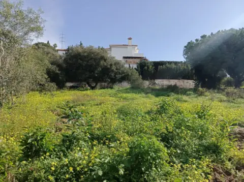 Terreno en Paseo de Austria, 9