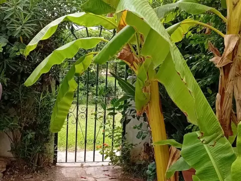 Chalet adosado en Urbanización de Marina Casares