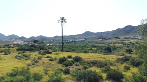 Chalet en Carboneras