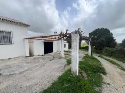 Finca rústica en Finca Cortesín