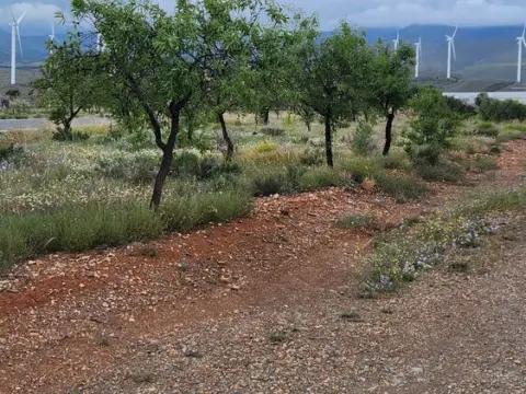 Finca rústica en Pasaje Llanos de La Estacion