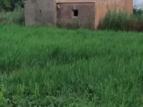 Terreno en calle Font de la Salud