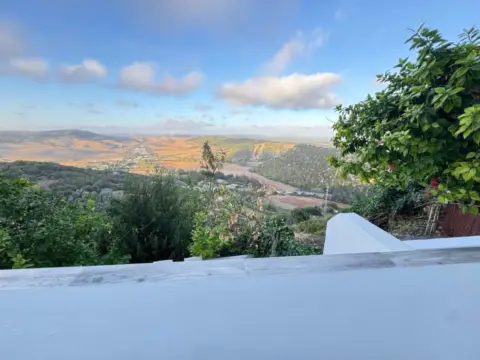 Estudio en Vejer de La Frontera