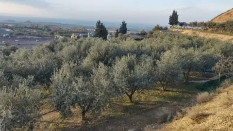 Finca rústica en Carrer de Sucs