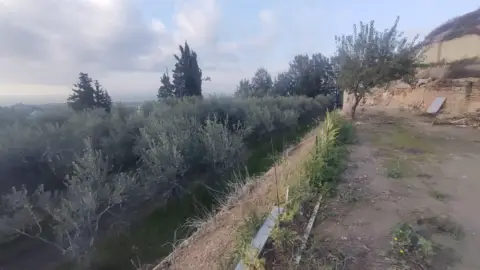 Finca rústica en Carrer de Sucs