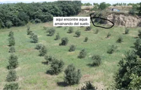 Finca rústica en Polígono 19