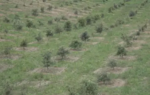 Finca rústica en Polígono 19