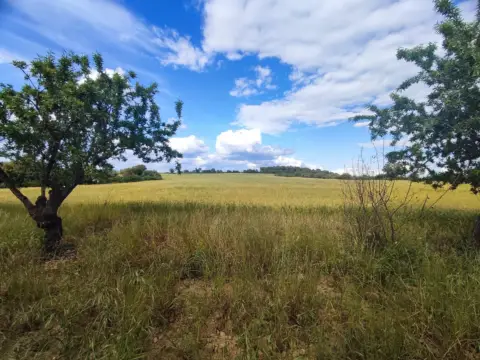 Finca rústica en Salas Altas