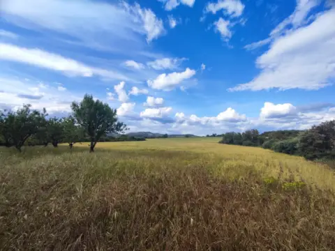 Finca rústica en Salas Altas